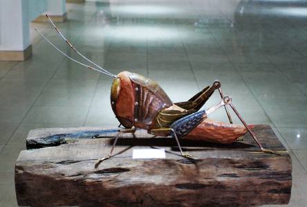 综合材料作品《蝗金甲》