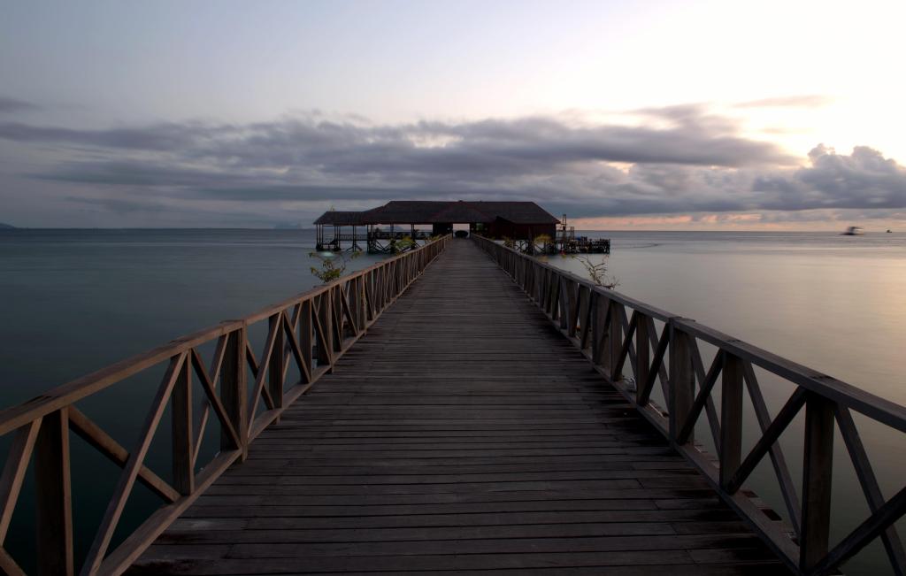 作品名称:祈望 作者:陈永康