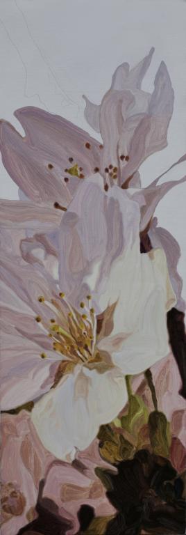 花·时间之三，50X150cm,2014年12月